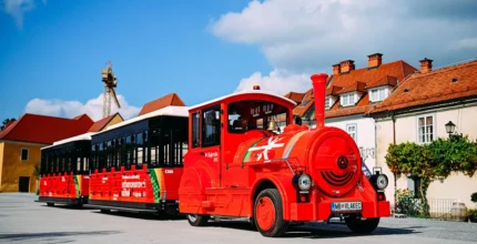 Najstarejša trta Začetek poti