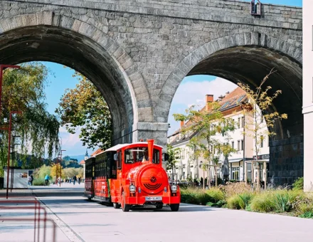 TIC Maribor