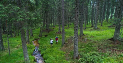 Pohorje