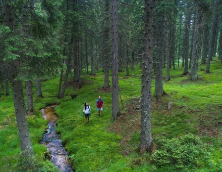 Pohorje