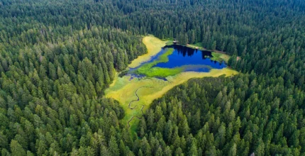 Pohorje