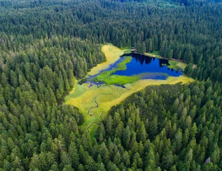 Pohorje