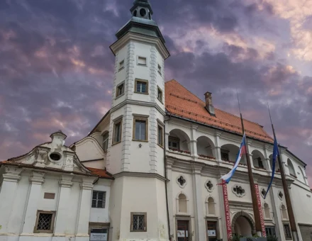 Mariborski grad (Mestni grad)