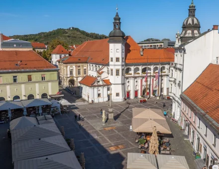 Mariborski grad (Mestni grad)