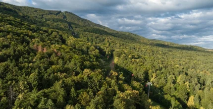 Pohorje