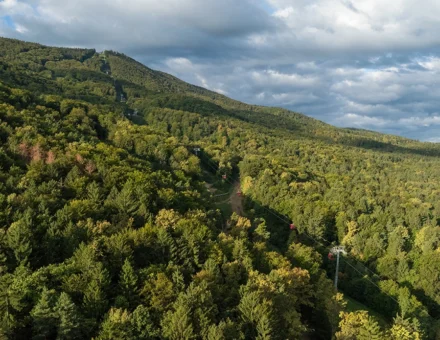 Pohorje