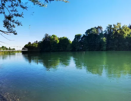 Mostovi in brvi